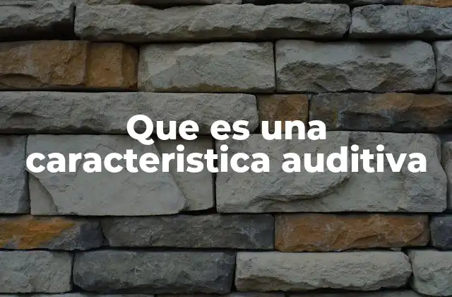 Que es una Caracteristica Auditiva