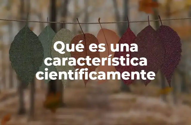 Qué es una Característica Científicamente