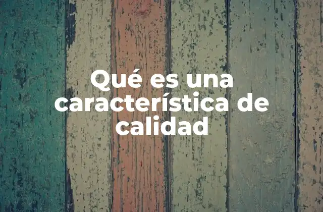 Qué es una Característica de Calidad