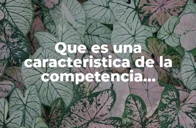 Diferenciación del producto como clave del mercado