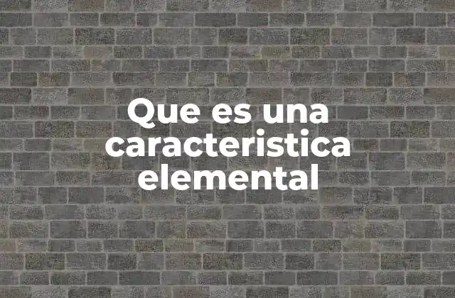 Que es una Caracteristica Elemental