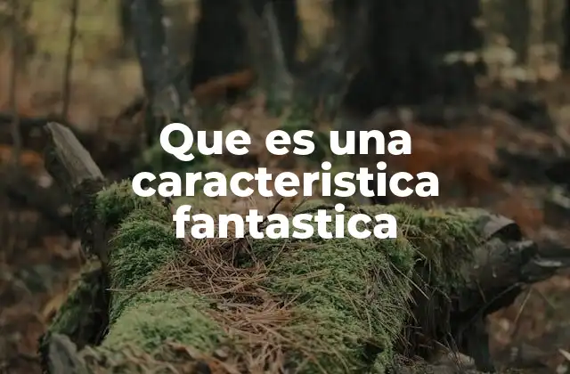 Que es una Caracteristica Fantastica