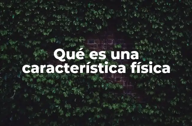 Qué es una Característica Física 2 Las características físicas y su importancia en la ciencia