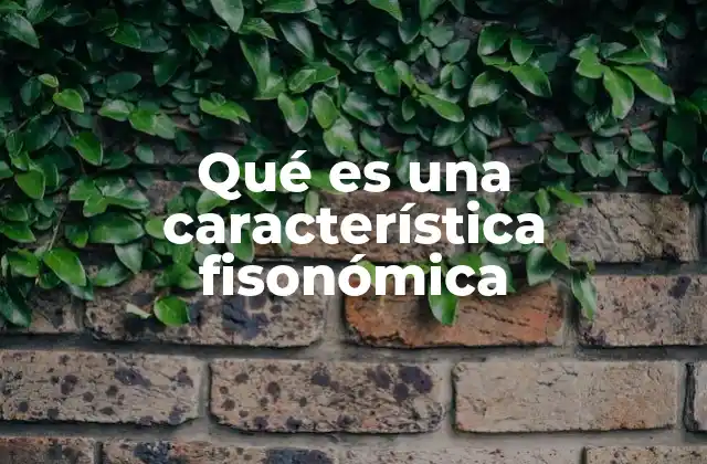 Qué es una Característica Fisonómica