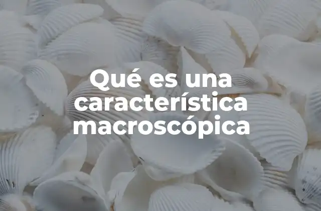 Qué es una Característica Macroscópica