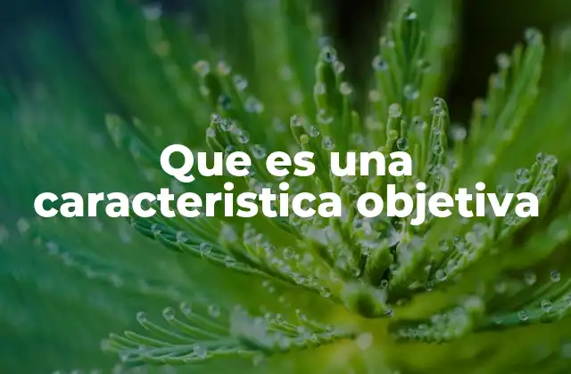 Que es una Caracteristica Objetiva