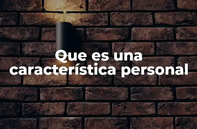 Que es una Característica Personal