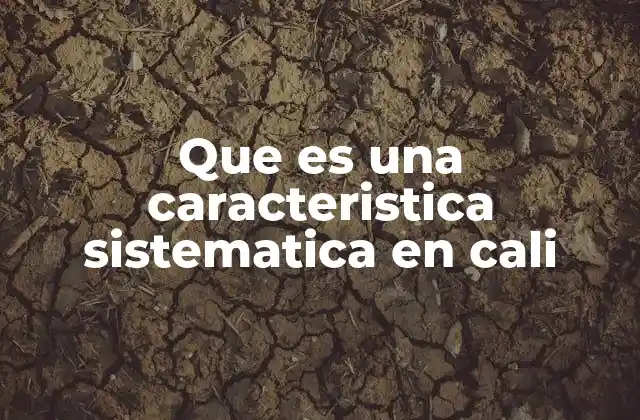 Que es una Caracteristica Sistematica en Cali