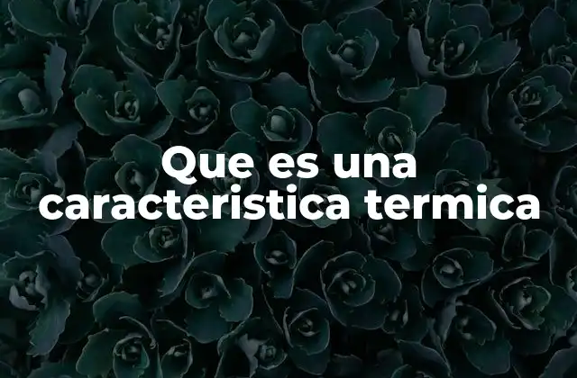 Que es una Caracteristica Termica