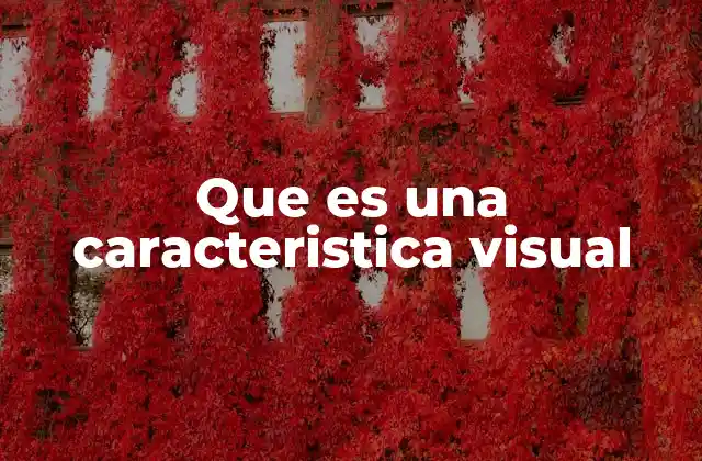 Que es una Caracteristica Visual 2 La importancia de las características visuales en el diseño