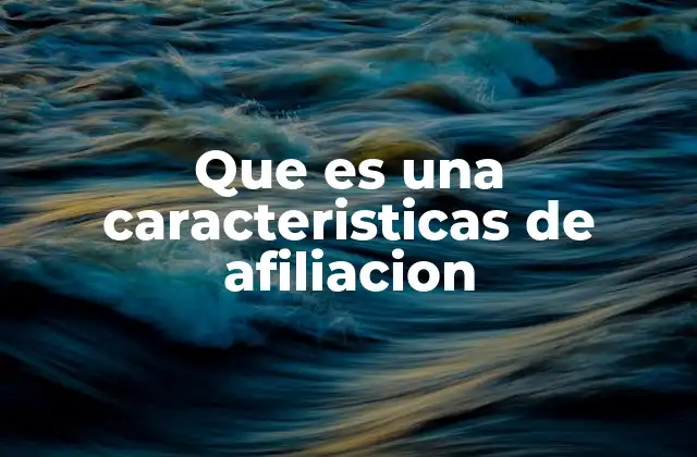 Cómo se estructuran las características de un buen programa de afiliación