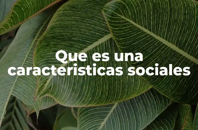 Que es una Caracteristicas Sociales 2 El papel de las características sociales en el desarrollo humano