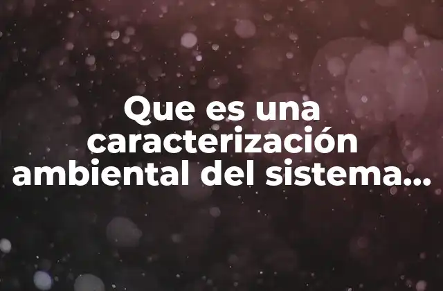 Que es una Caracterización Ambiental Del Sistema Ambiental