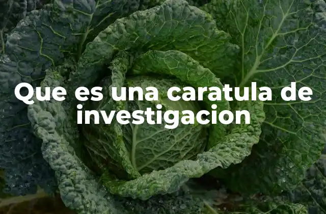 Que es una Caratula de Investigacion