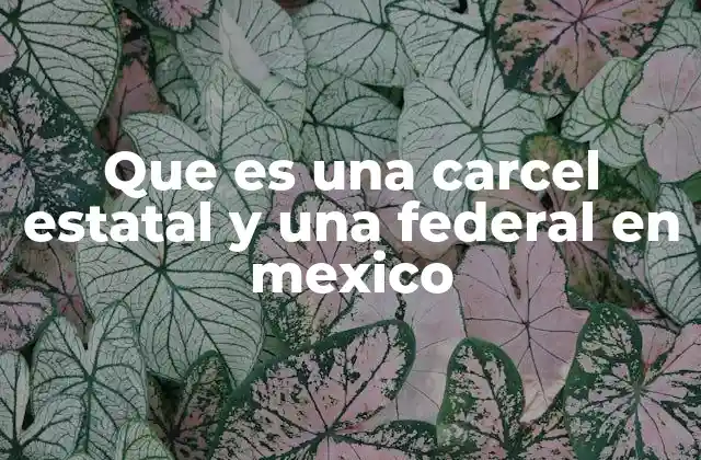 Que es una Carcel Estatal y una Federal en Mexico
