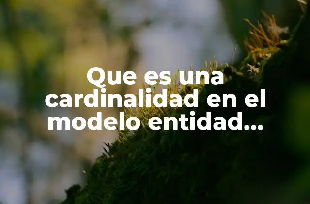 Que es una Cardinalidad en el Modelo Entidad Relacon