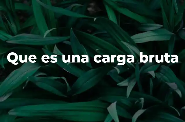 Que es una Carga Bruta