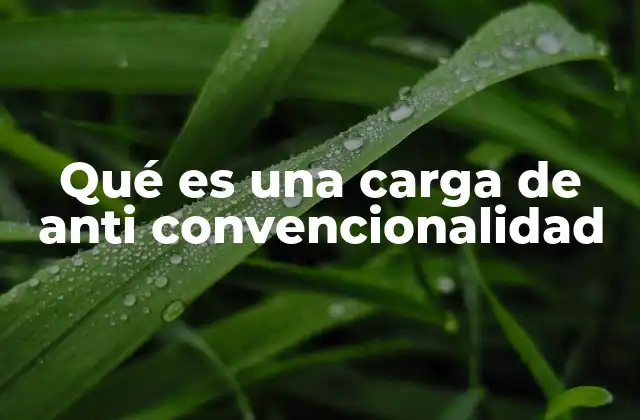 Qué es una Carga de Anti Convencionalidad