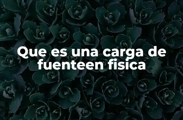 Que es una Carga de Fuenteen Fisica