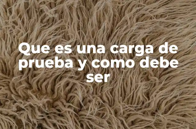 Que es una Carga de Prueba y como Debe Ser