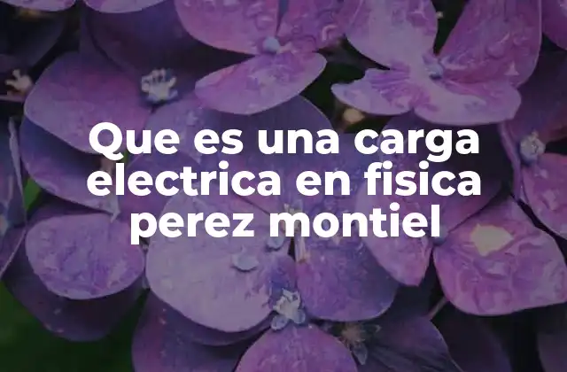Que es una Carga Electrica en Fisica Perez Montiel