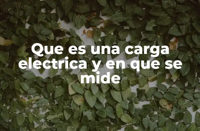 La base de la interacción eléctrica