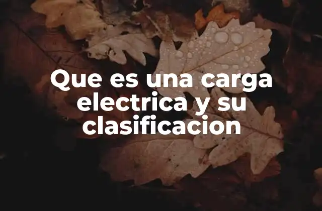 Que es una Carga Electrica y Su Clasificacion