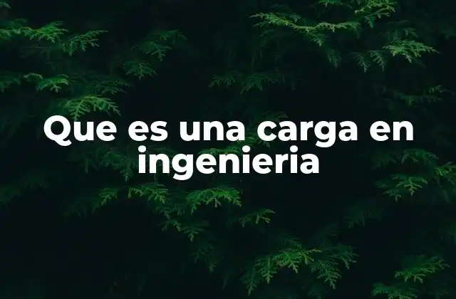 Que es una Carga en Ingenieria
