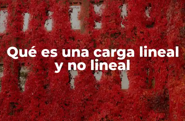 Qué es una Carga Lineal y No Lineal
