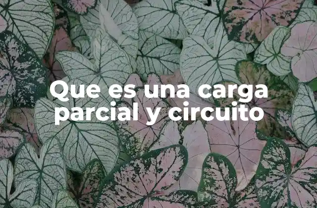 Que es una Carga Parcial y Circuito