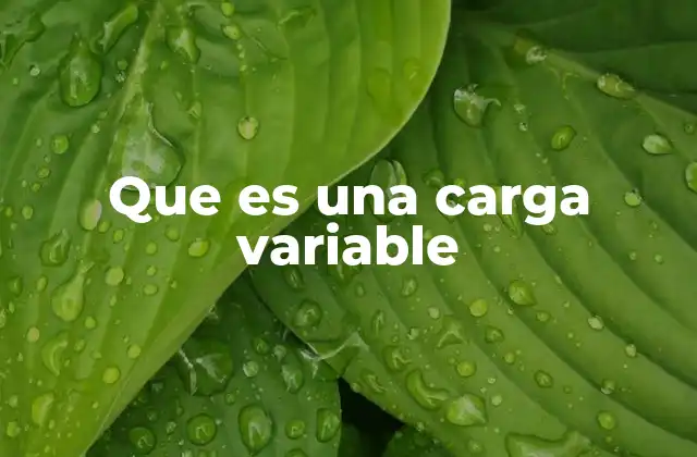 Que es una Carga Variable 2 Entendiendo el comportamiento de los dispositivos eléctricos cuyo consumo no es constante