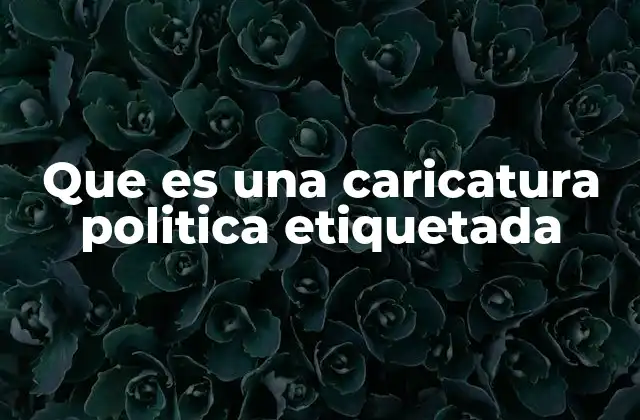 Que es una Caricatura Politica Etiquetada