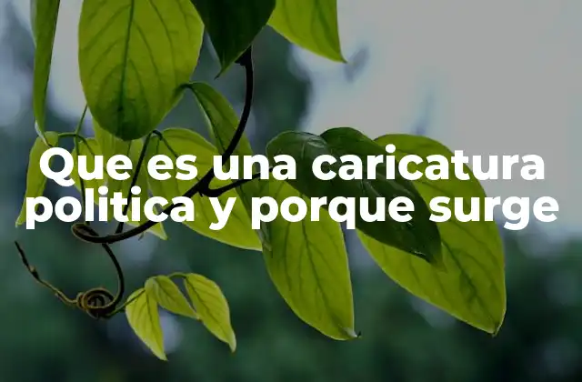 Que es una Caricatura Politica y Porque Surge