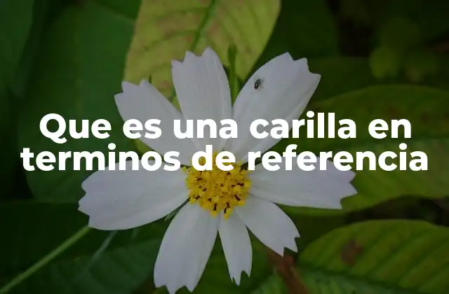 Que es una Carilla en Terminos de Referencia