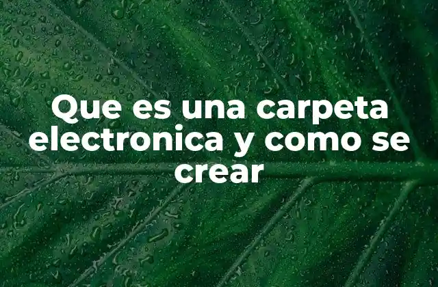 Que es una Carpeta Electronica y como Se Crear