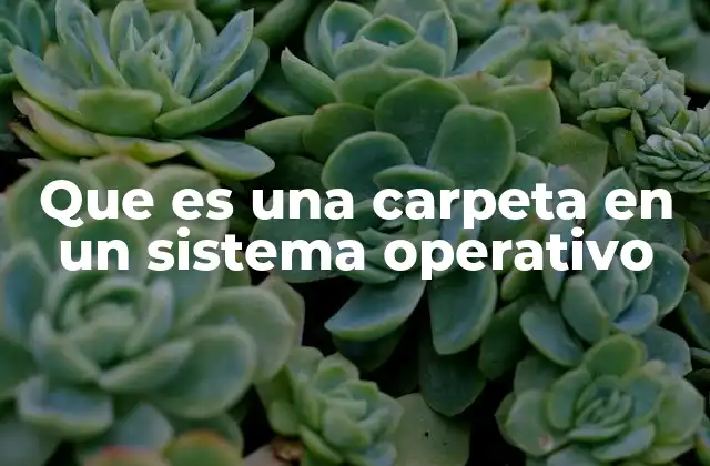 Que es una Carpeta en un Sistema Operativo 2 La importancia de la organización en el almacenamiento digital