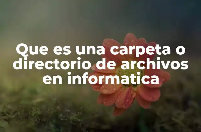 Que es una Carpeta o Directorio de Archivos en Informatica