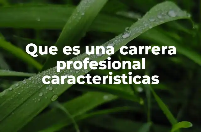 Que es una Carrera Profesional Caracteristicas