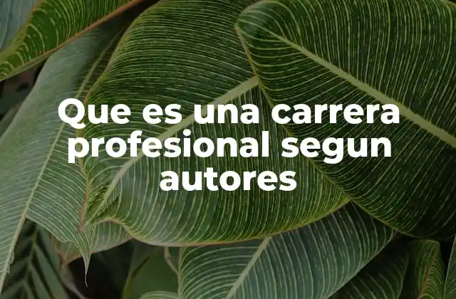 Que es una Carrera Profesional Segun Autores