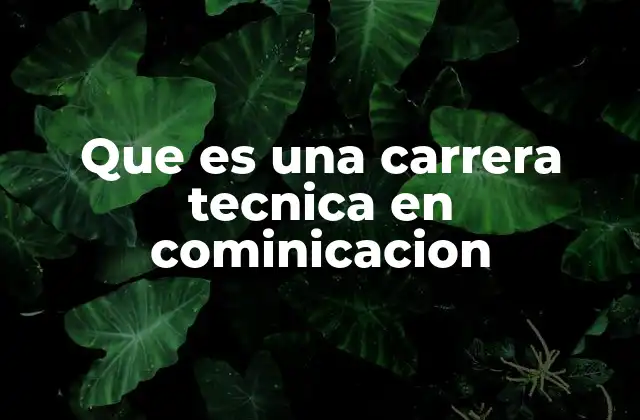 Que es una Carrera Tecnica en Cominicacion