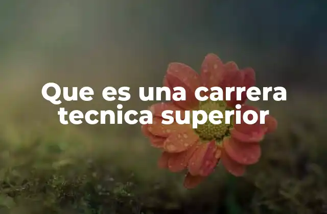Que es una Carrera Tecnica Superior
