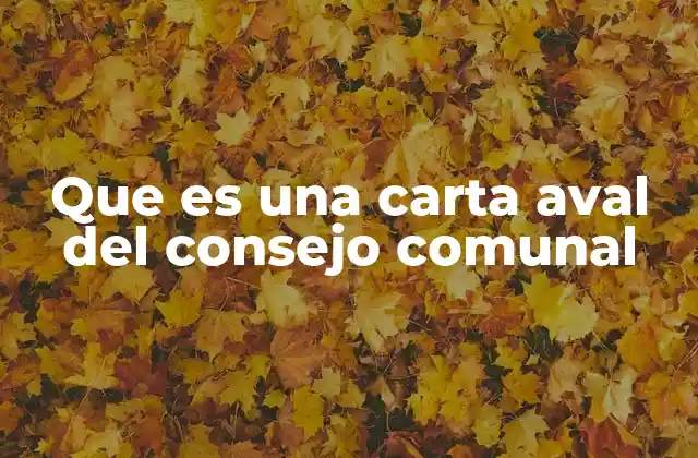 Que es una Carta Aval Del Consejo Comunal