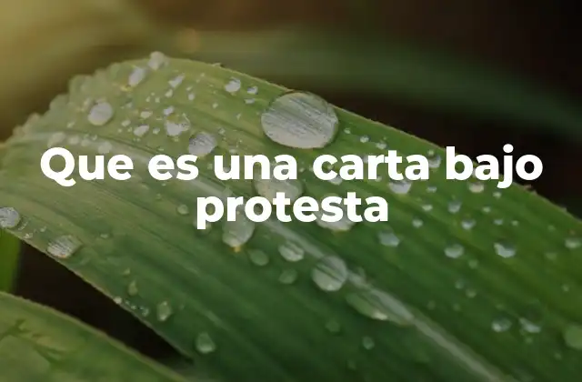 Que es una Carta bajo Protesta