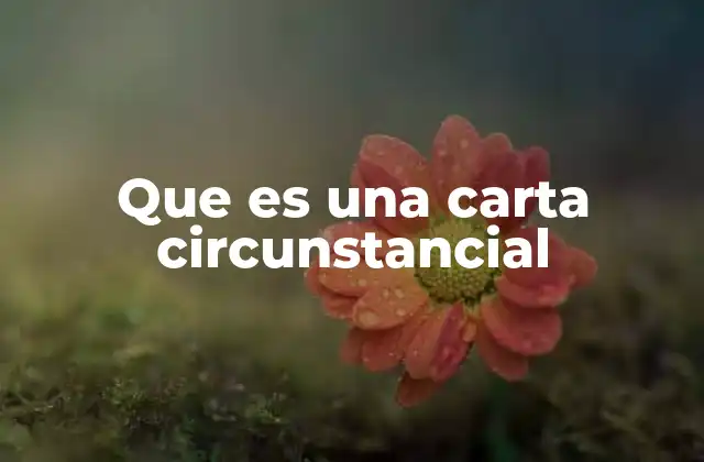 Que es una Carta Circunstancial