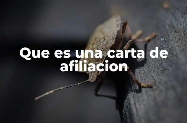 Que es una Carta de Afiliacion