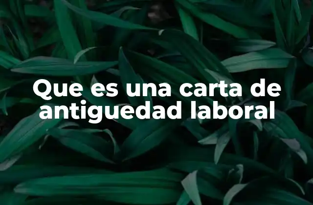 Que es una Carta de Antiguedad Laboral