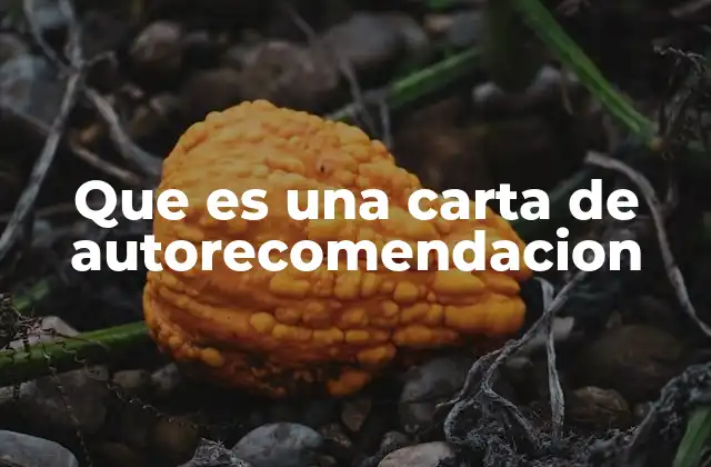 Que es una Carta de Autorecomendacion