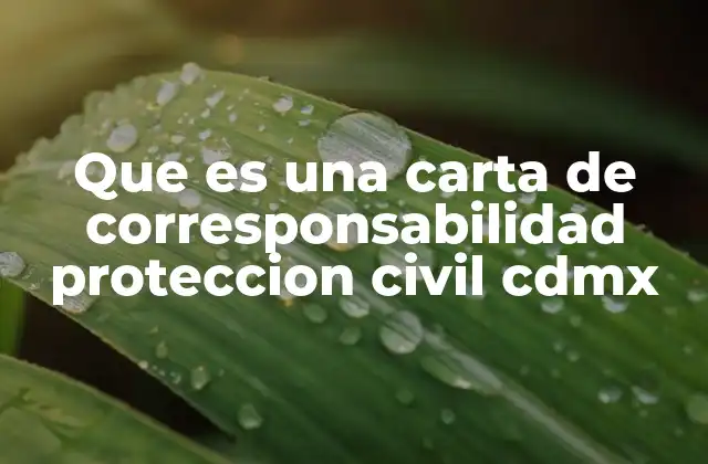 Que es una Carta de Corresponsabilidad Proteccion Civil Cdmx