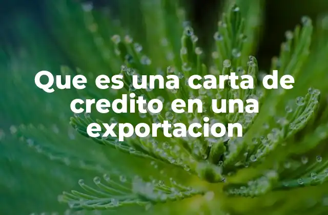 Que es una Carta de Credito en una Exportacion