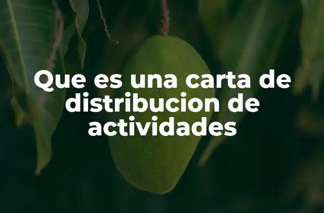 Que es una Carta de Distribucion de Actividades